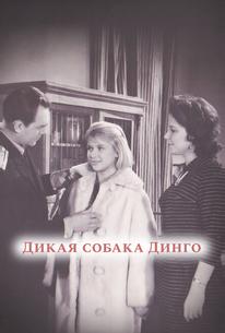 Дикая собака динго