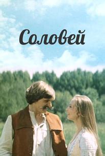 Соловей