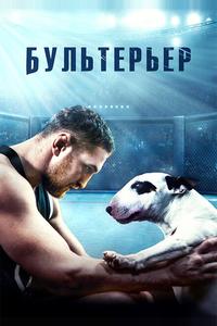 Бультерьер