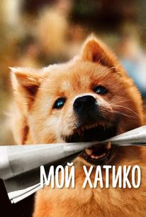 Мой Хатико