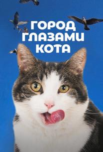 Город глазами кота