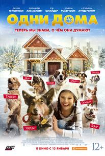 Одни дома