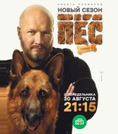 Пес