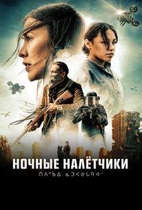 Ночные налётчики