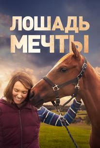 Лошадь мечты