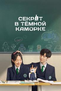 Секрет в тёмной каморке