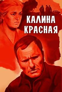Калина красная