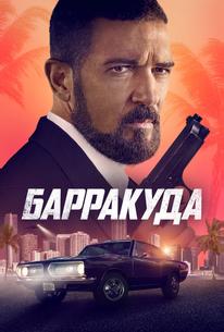 Барракуда