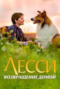 Лесси. Возвращение домой