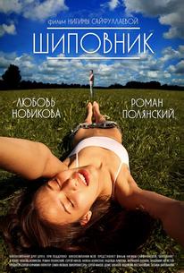 Шиповник
