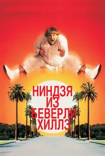 Ниндзя из Беверли Хиллз