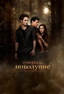 Сумерки. Сага. Новолуние