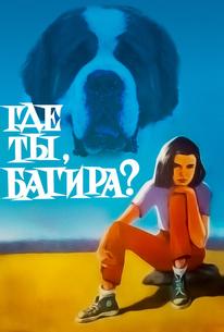 Где ты, Багира?