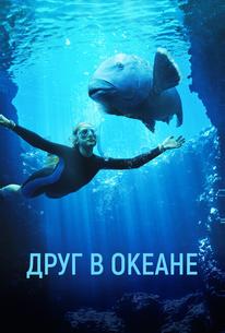 Друг в океане
