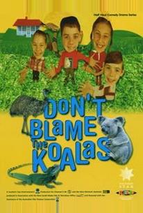 Коалы не виноваты
