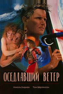 Оседлавший ветер