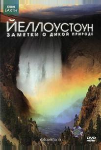 Йеллоустоун: Заметки о дикой природе