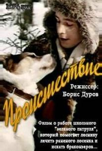 Происшествие