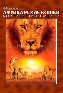 Африканские кошки: Королевство смелых
