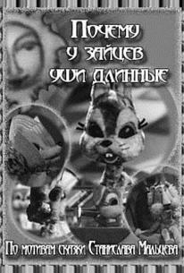 Почему у зайцев уши длинные