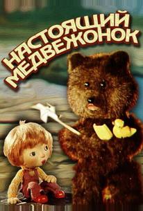 Настоящий медвежонок