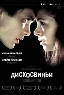 Дискосвиньи