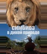 Симбиоз в дикой природе