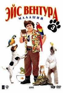Эйс Вентура младший