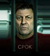 Срок