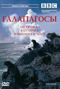 BBC: Галапагосы