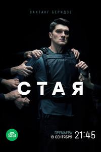 Стая