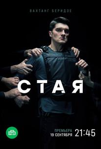 Стая