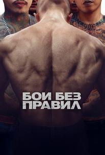 Бои без правил