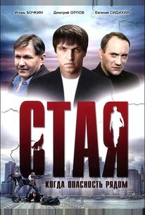 Стая
