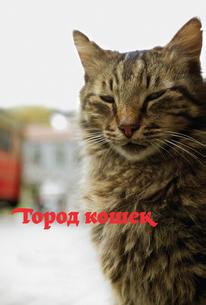 Кот