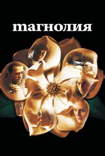 Магнолия