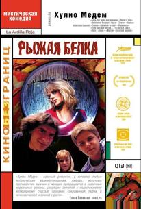 Рыжая белка