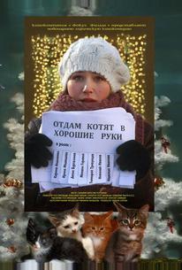 Отдам котят в хорошие руки